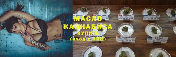 бошки Бронницы