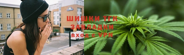 бошки Бронницы