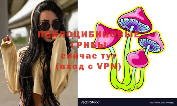 бошки Бронницы